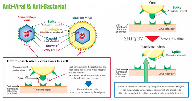 Shiquy Antiviral & Antibacterial Paint By Kansai Paint Japan